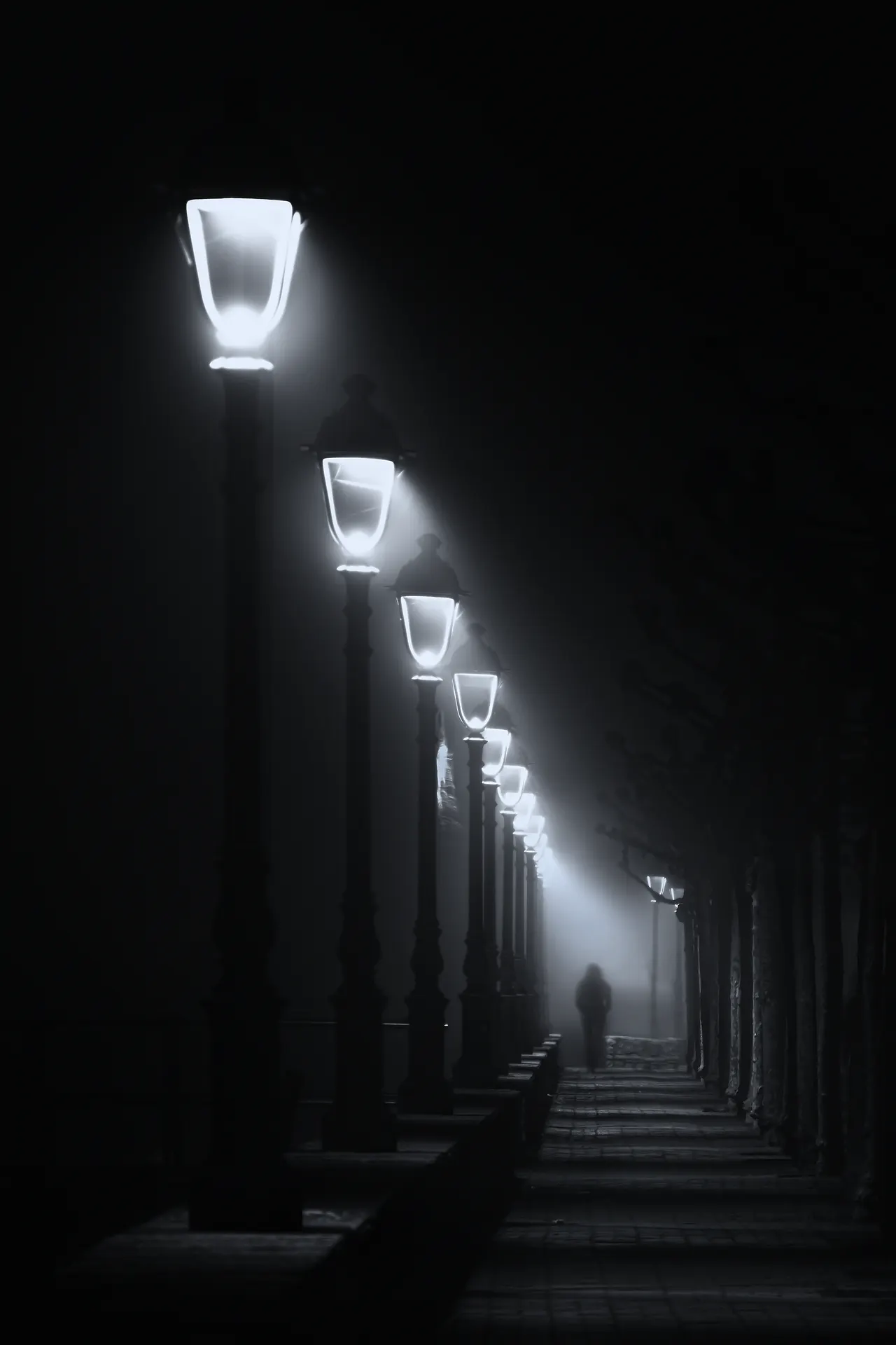Farolas encendidas en calle con niebla